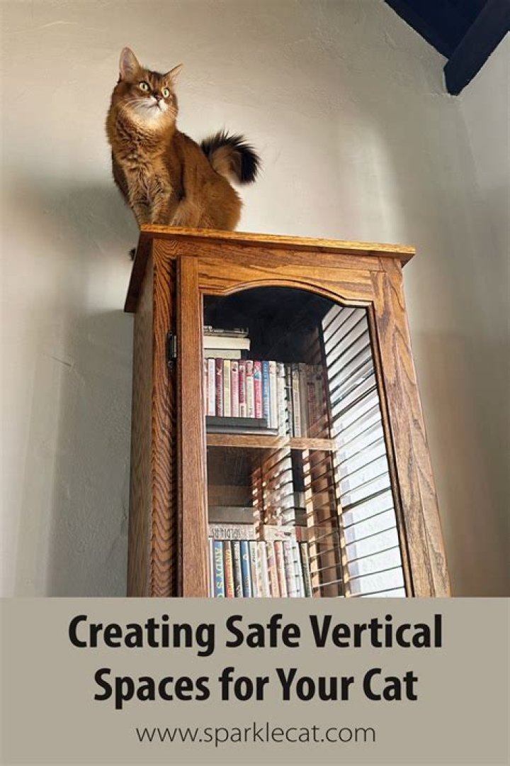 Do cats like dark enclosed spaces