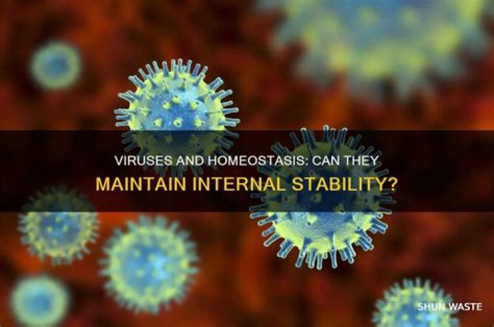 Does viruses maintain homeostasis