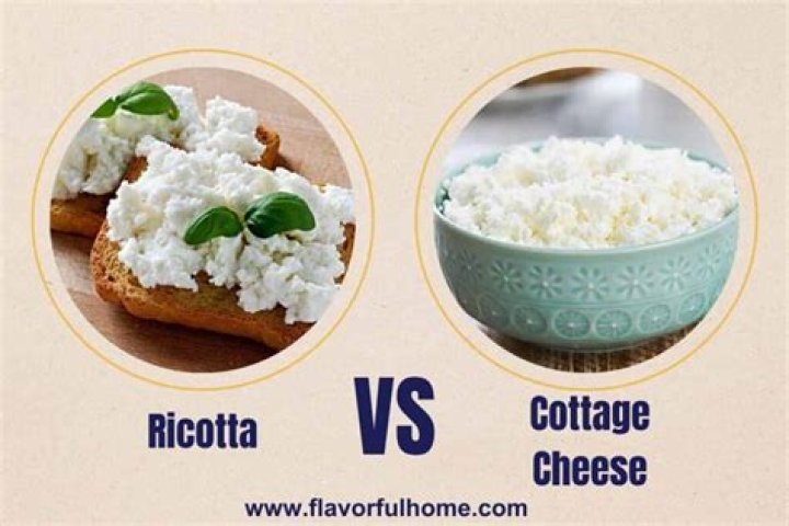 How bad is ricotta cheese for you
