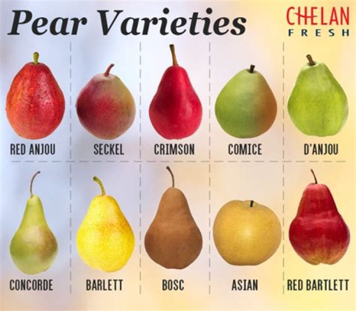 How did the pear get its name