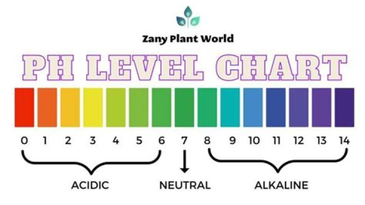 How do I adjust the pH in my pond
