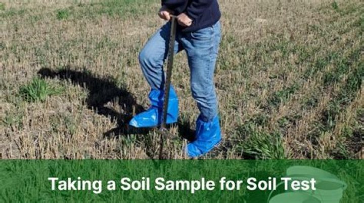 How long do soil test results take