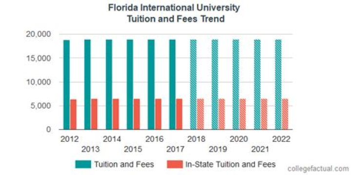 How much does FIU cost each year