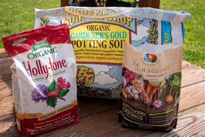 How often do you feed blueberries