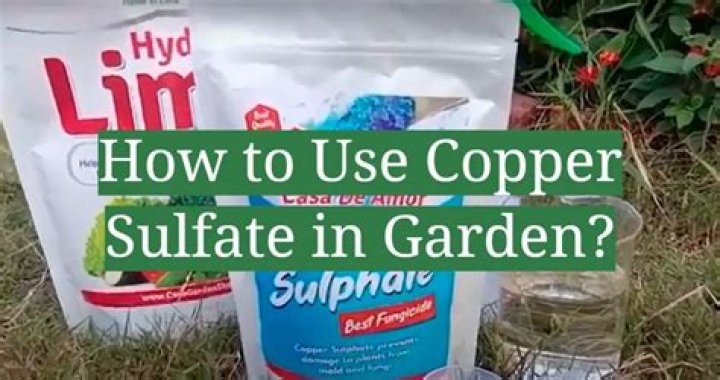Is copper sulfate safe for plants