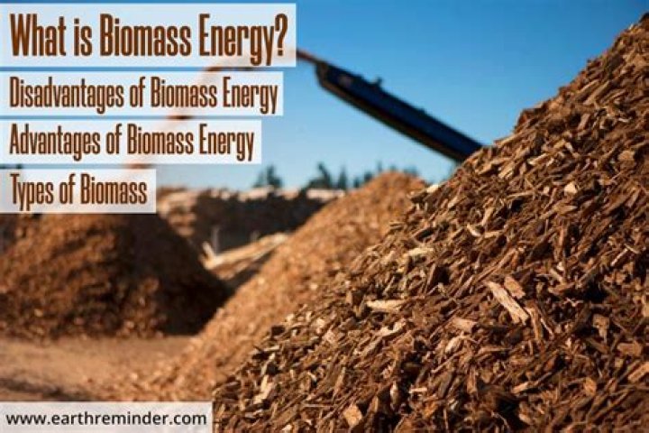 Is using biomass energy expensive