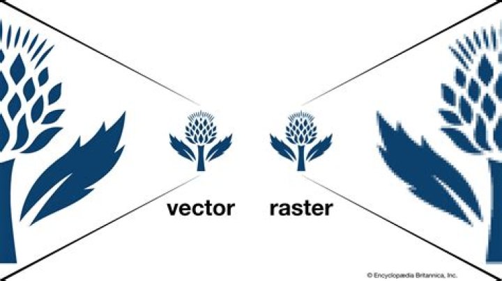 What are raster images made up of