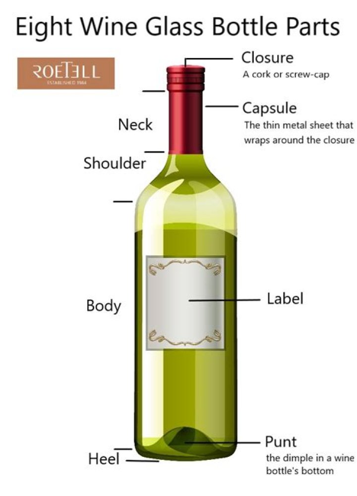 What are the parts of a grapevine