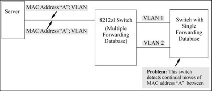 What causes duplicate MAC address