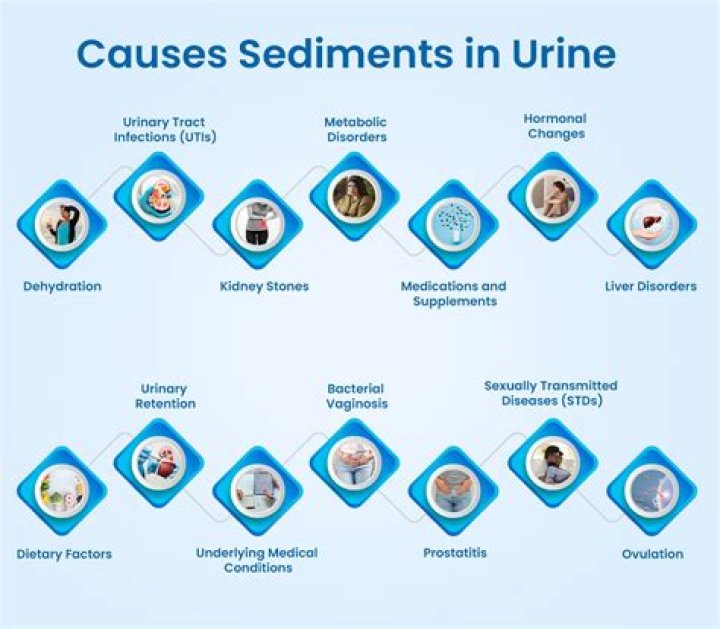 What does urine sediment indicate