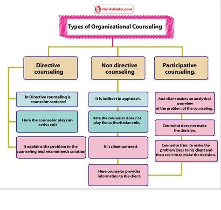What is organizational counseling