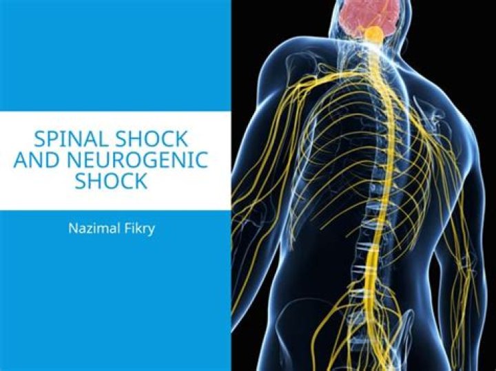 What is the cause of spinal shock