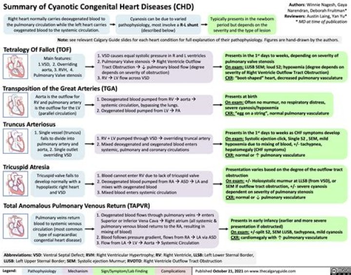 What is the most common congenital cyanotic heart disease