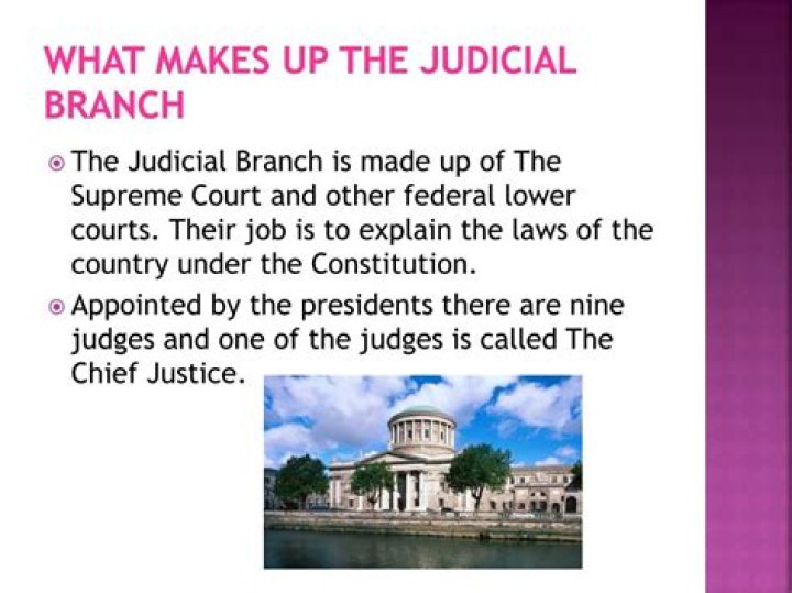 What makes up the judicial branch