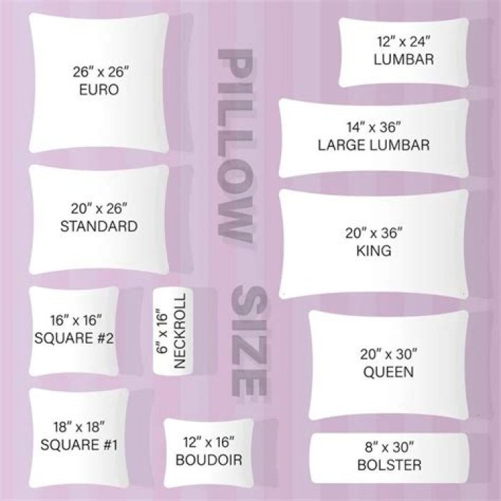 What size is a Euro pillow insert
