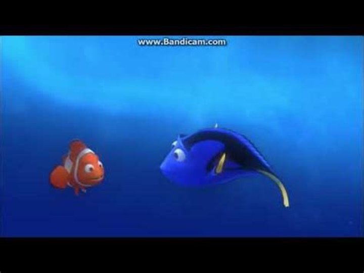 Whats the current in Finding Nemo