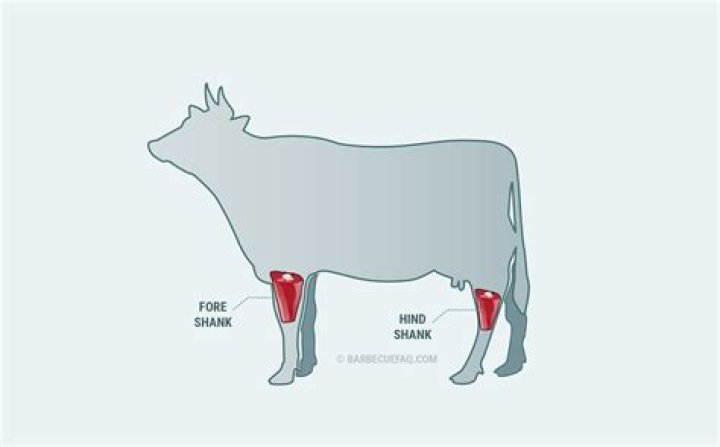 Where is the shank meat on a deer